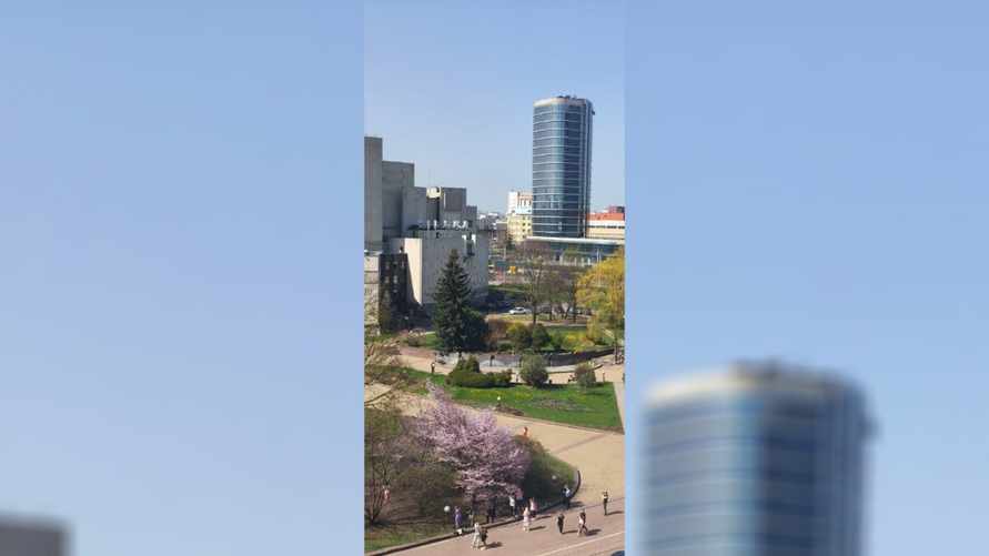 «Редкое явление» — В Минлесхозе показали, чем любуются из окна «в свободные минутки». Где ещё можно?