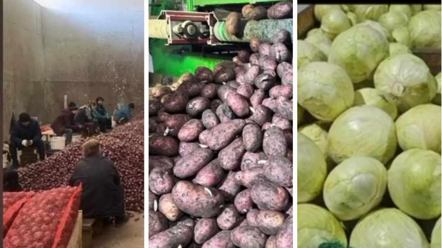 В МАРТ показали, какой картофель хранится в овощехранилищах по всей Беларуси