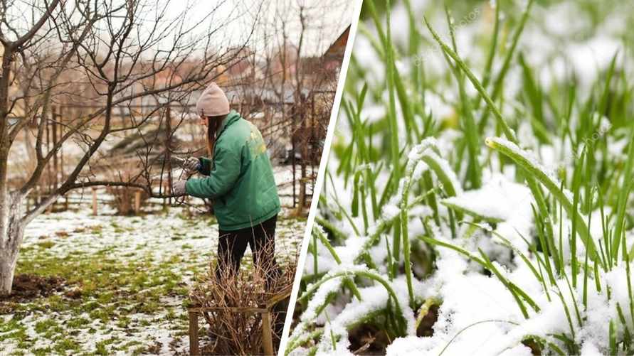 Как подготовить огороды к заморозкам? Эти три шага должны сделать все белорусы до 25-26 апреля