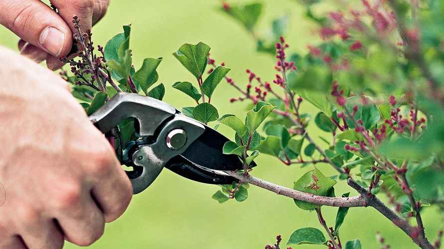 Фото: Peter Krumhardt