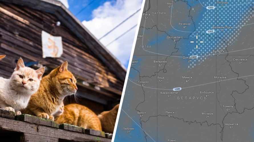 Снегопады сменятся солнечными +22°С? Синоптики рассказали, когда Оливия принесет белорусам весну