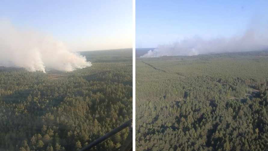 «Так просто не бывает» - Глава Минлесхоза усмотрел поджог в крупном пожаре на границе Беларуси с Украиной