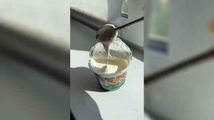 Белорусы заметили в магазинах «сметану» для шашлыка. Это что такое?