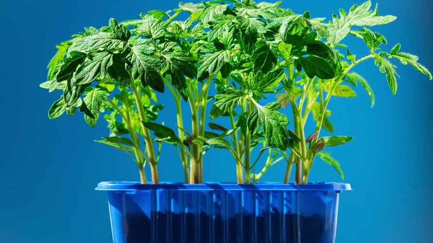 Фото иллюстрационное