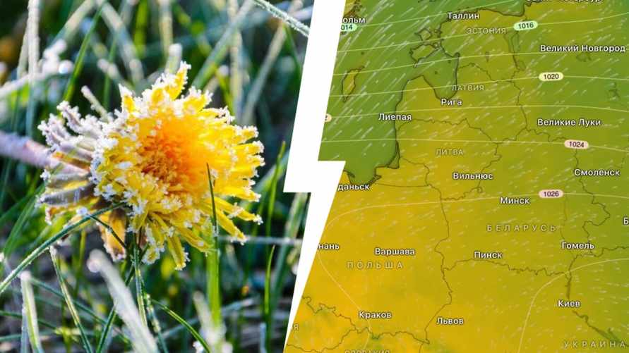 От -5°С до +20°С. Синоптики предупредили о "последней холодной ночи" в Беларуси. Когда вернется тепло?