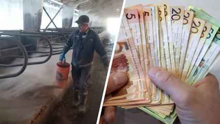 «Выпускайте Кракена!» — Еще одно хозяйство позвало белорусов на работу с «достойной зарплатой». Что надо делать?