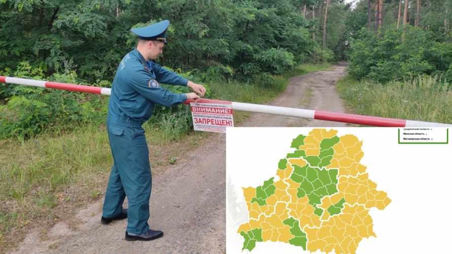 Минлесхоз объявил почти по всей Беларуси "цвет настроения жёлтый"