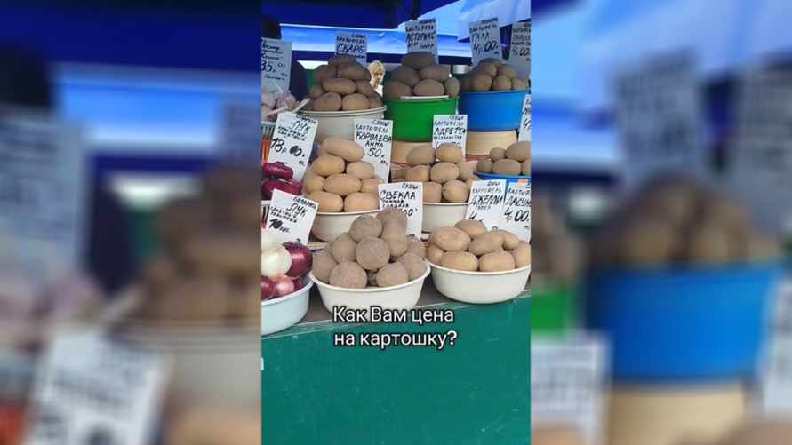 "Отличная цена" - В TikTok показали, почём картошка у частников. Белорусы разошлись во мнениях