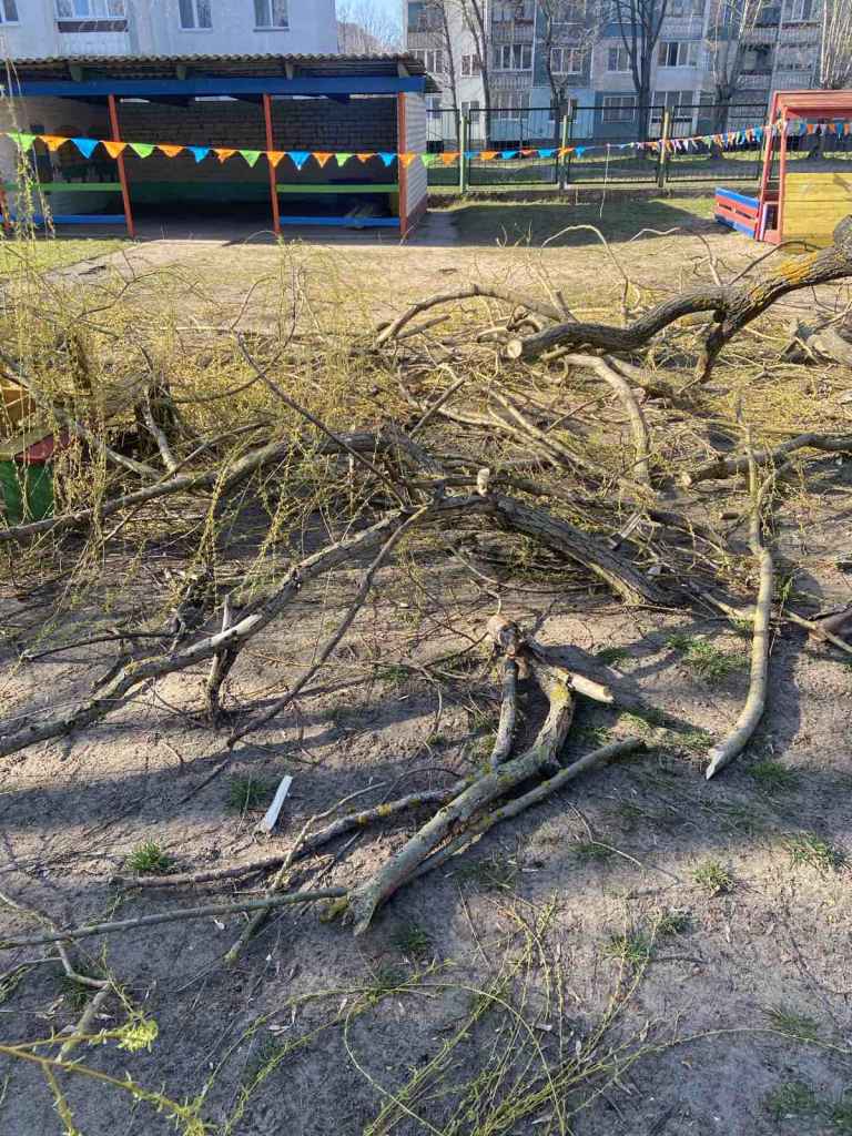 В Бобруйске ребёнок в детском саду получил перелом из-за сильного порыва ветра