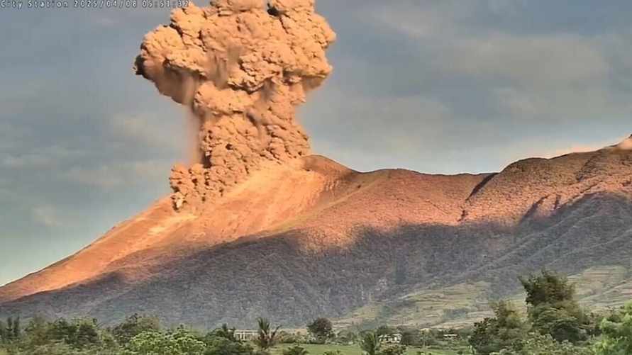 Скриншот видео из соцсети Х