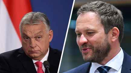 «Придется отдать 240 млрд евро» — В Эстонии потребовали лишить Орбана права голоса в ЕС