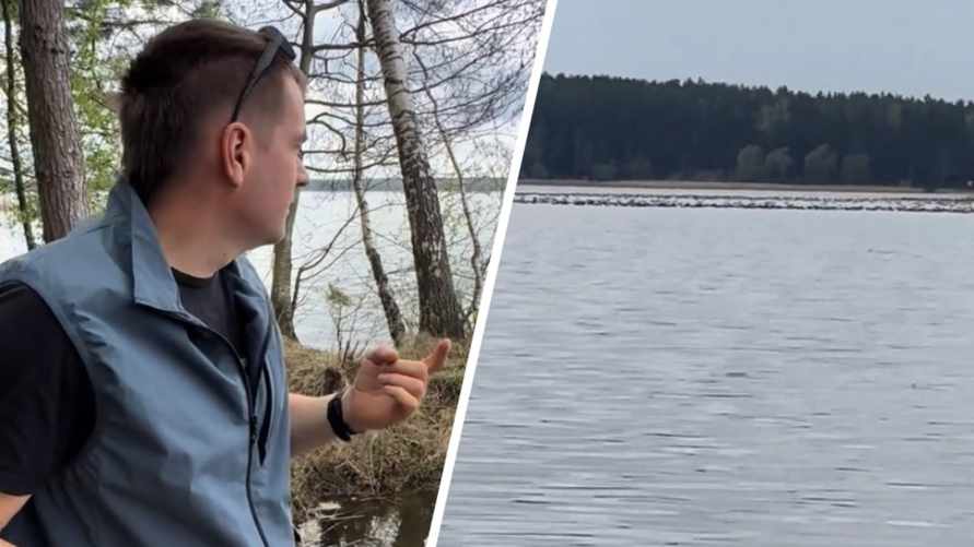 "Хана водоёмам" - Рыбаки на Вилейском водохранилище заметили "миллионы потенциально опасных птиц"