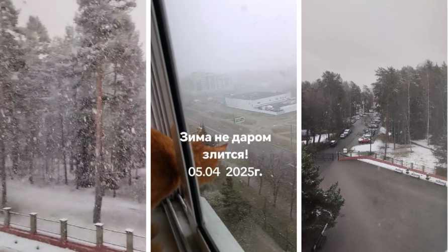 «Носите с собой зонт и лыжи» - Белорусы показали апрельские «оранжевые» метели, а синоптики - где выпадет до 20 см снега