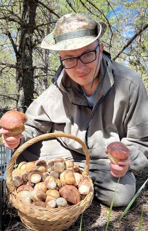 В сморчках есть токсины, "эквивалентные ракетному топливу"? Микологи из Беларуси и Италии объяснили, нужно ли их всегда отваривать