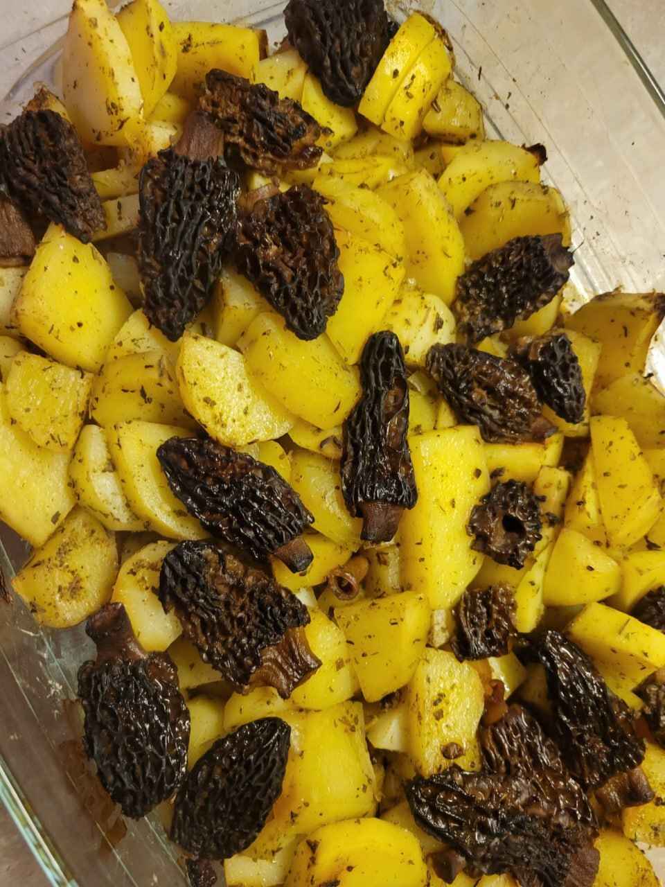 В сморчках есть токсины, "эквивалентные ракетному топливу"? Микологи из Беларуси и Италии объяснили, нужно ли их всегда отваривать