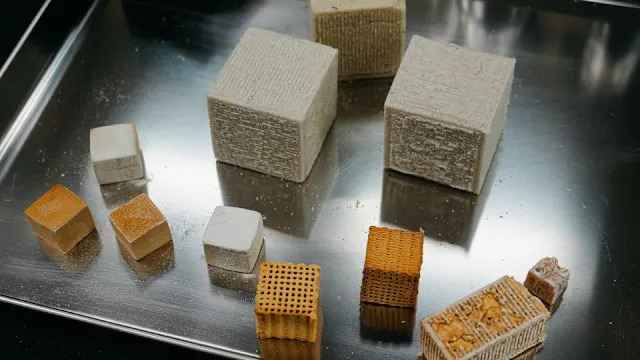 Учёные сделали первый шаг, чтобы строить/выращивать дома из грибов. Зачем?