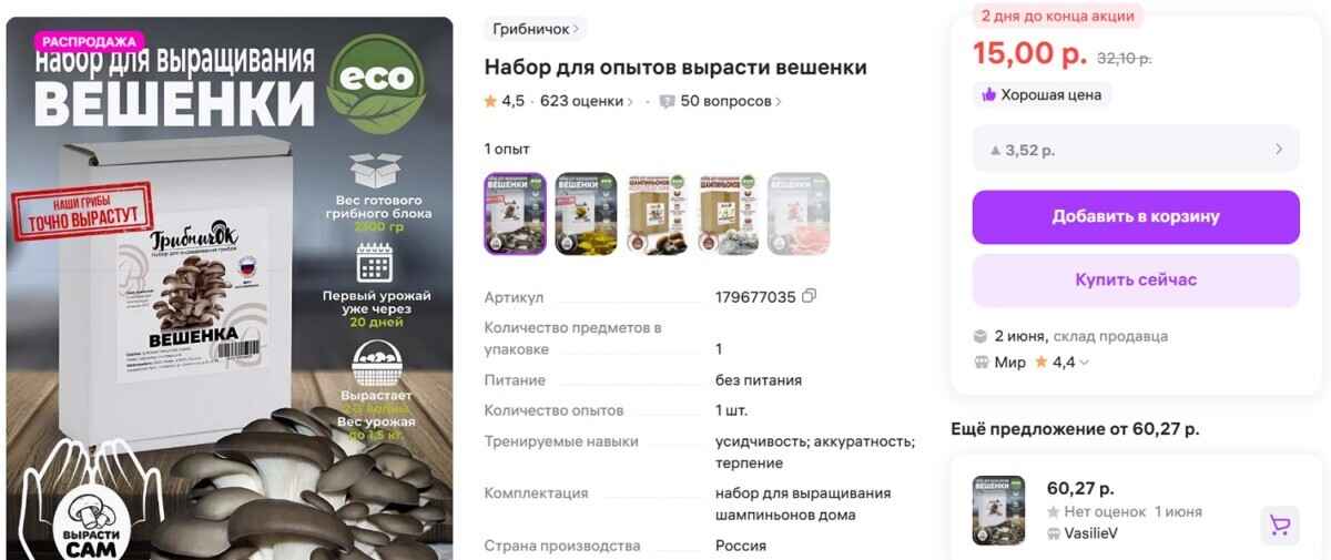 «100%-фейк» или реальность? Разобрались, можно ли белорусам вырастить боровики дома