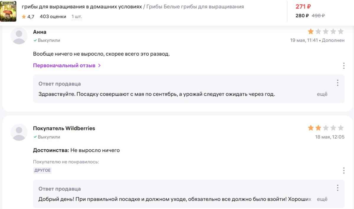 «100%-фейк» или реальность? Разобрались, можно ли белорусам вырастить боровики дома