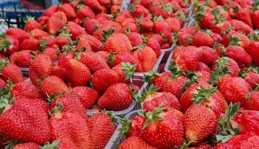 "В кредит?" — На Комаровке нашли "золотую" черешню. Подписчики в TikTok поделились своими наблюдениями