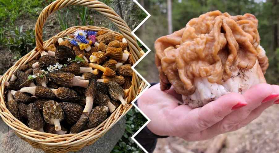 Видеоролик, которым поделился Михаил Вишневский в своём YouTube-канале,