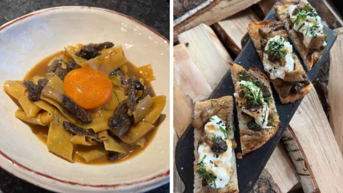 В сморчках есть токсины, "эквивалентные ракетному топливу"? Микологи из Беларуси и Италии объяснили, нужно ли их всегда отваривать