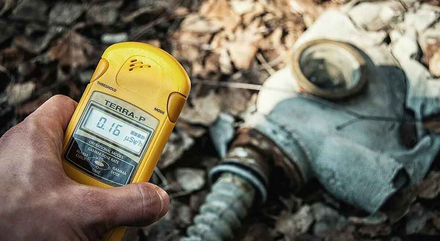 Лесные грибы и ягоды Грибы — рекордсмены по