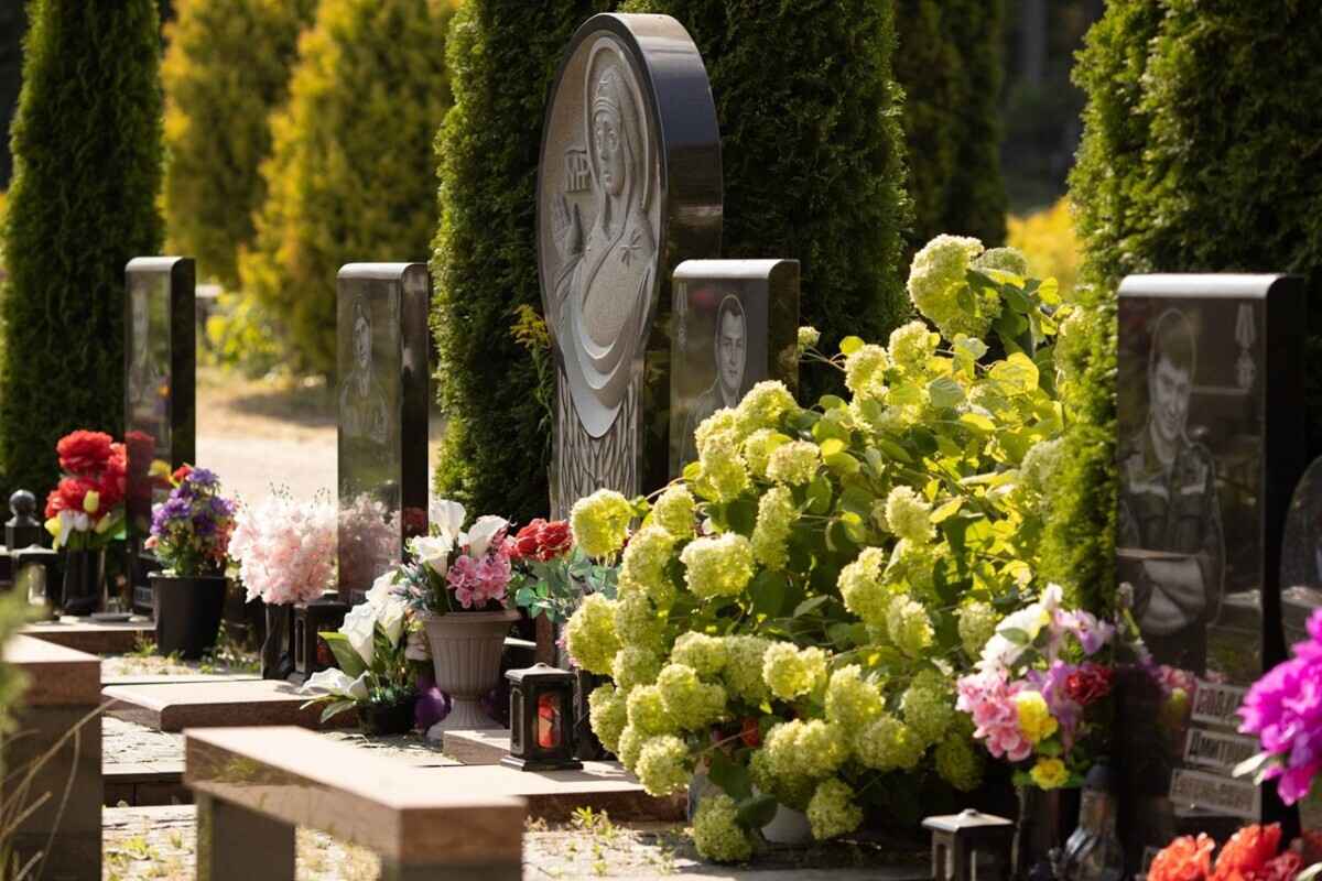 Фото иллюстрационное