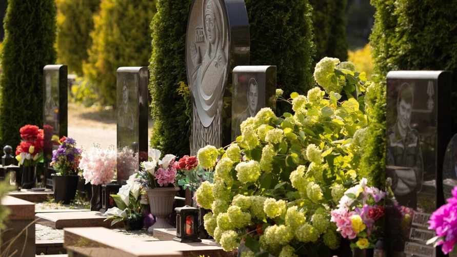 Фото иллюстрационное