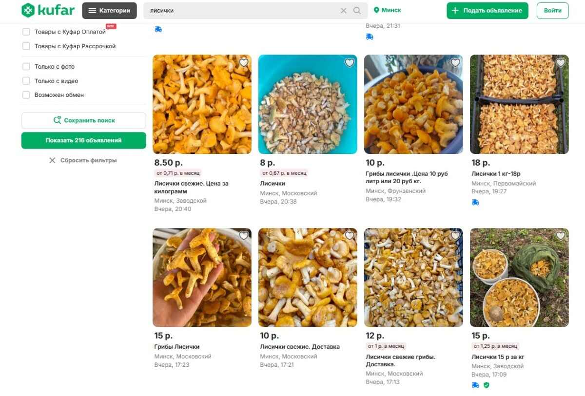 Сколько белорусам можно заработать на продаже лисичек и подосиновиков? Изучили цены на урожай-2025