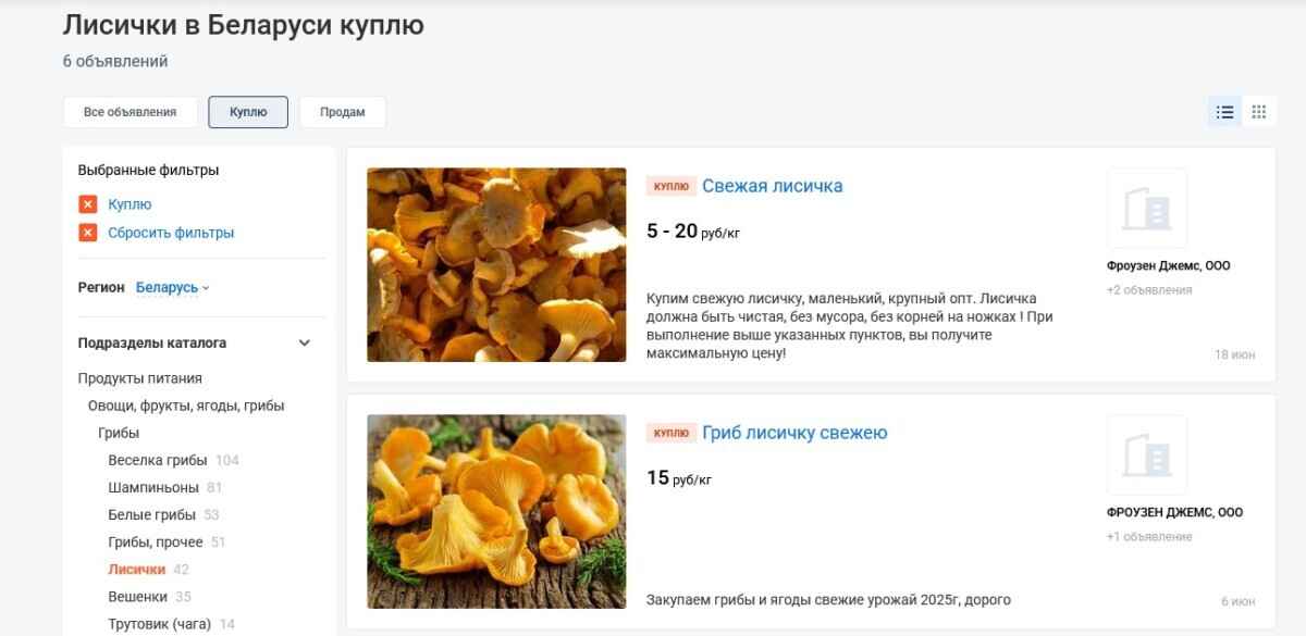 Сколько белорусам можно заработать на продаже лисичек и подосиновиков? Изучили цены на урожай-2025