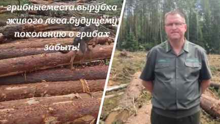 «Сравнимо с сельским хозяйством» — В Минлесхозе ответили белорусам почему вырубают лес