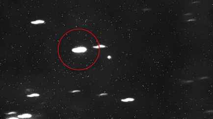 Ученый спрогнозировал «атаку» враждебного инопланетного корабля на Землю зимой 2025 года