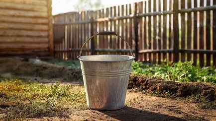 Полейте домашним средством огурцы от мучнистой росы. Какой сорняк пригодится?