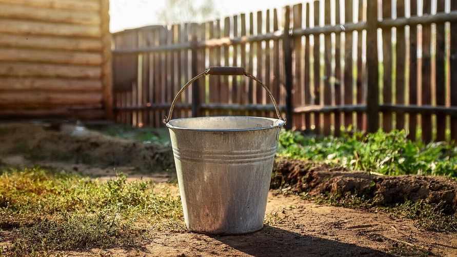 Полейте домашним средством огурцы от мучнистой росы. Какой сорняк пригодится?