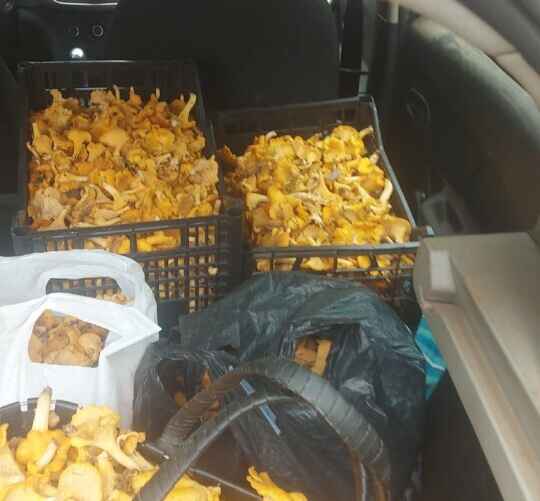 Фото: Виталий Шек