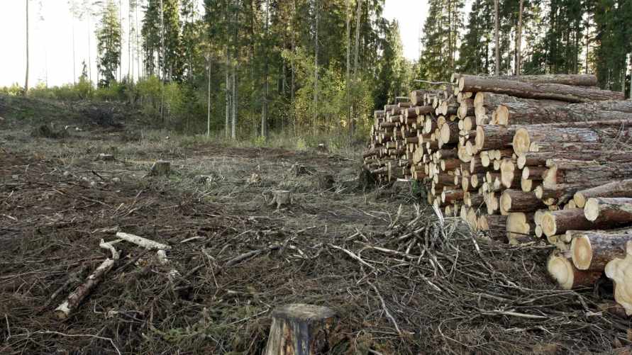 Фото иллюстрационное