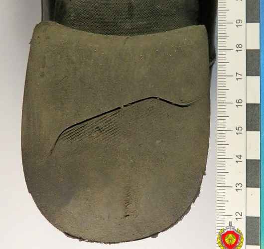 Фото: sudexpert.gov.by