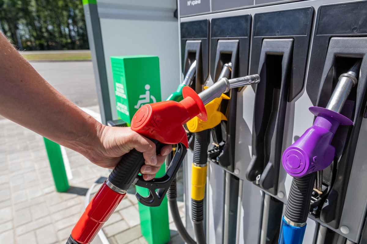 Фото иллюстрационное: sb.by