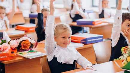 Сколько учеников максимум может быть в одном классе? Адвокат из Гомеля назвала требования