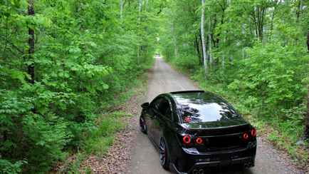 Белорусам назвали леса, где за стоянку грозит штраф до 1260 рублей