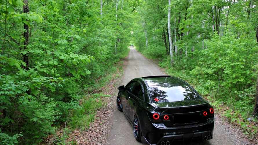 Белорусам назвали леса, где за стоянку грозит штраф до 1260 рублей