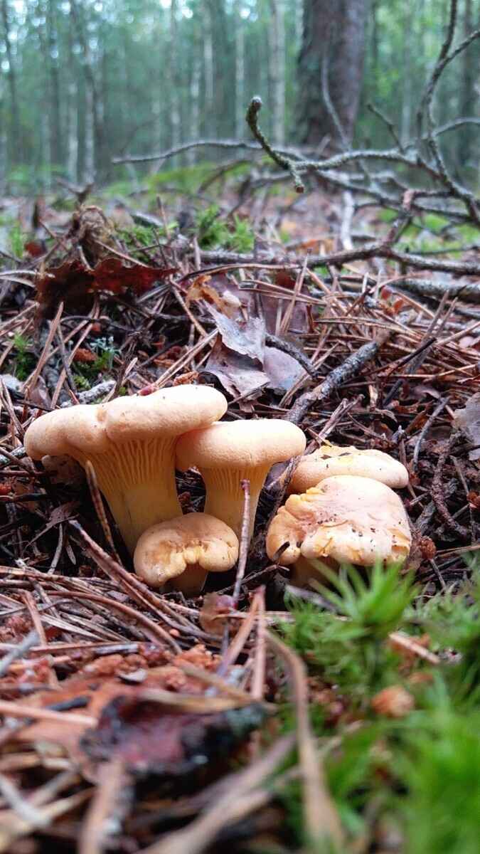 Фото Татьяны Старковой