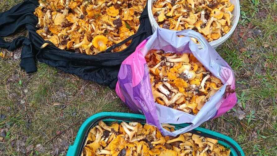 Фото Евгении Вусик