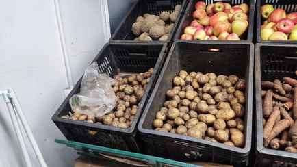 В России назвали свою причину весенней нехватки картошки в Беларуси