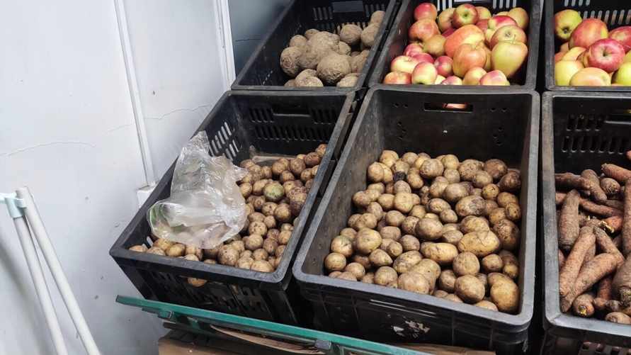 Фото иллюстрационное