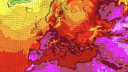 Климатологи назвали «новой нормальностью» наступившую жару. К чему готовиться белорусам?