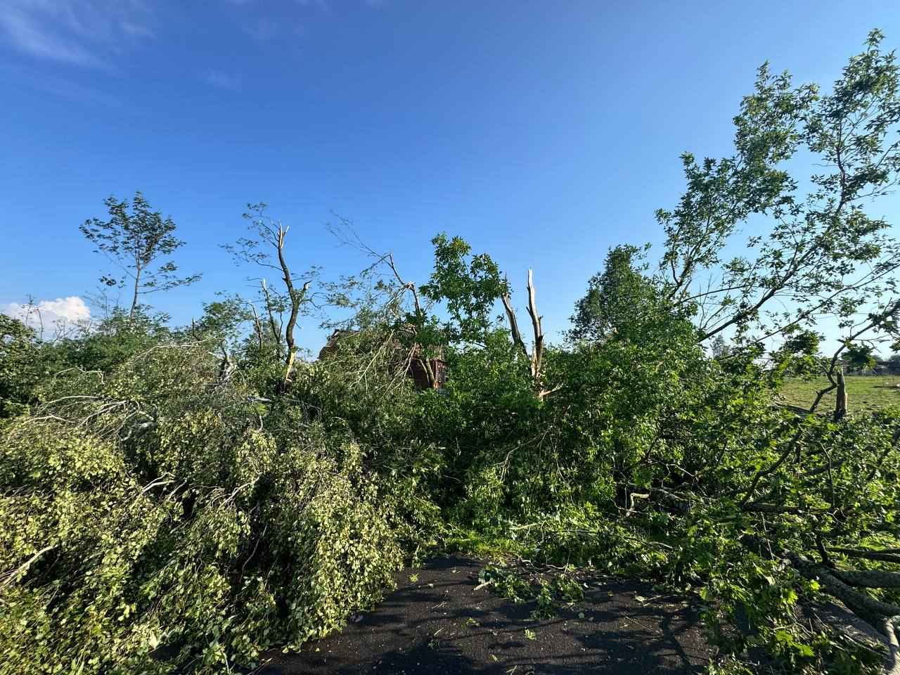 На Витебщине прошел мощный смерч