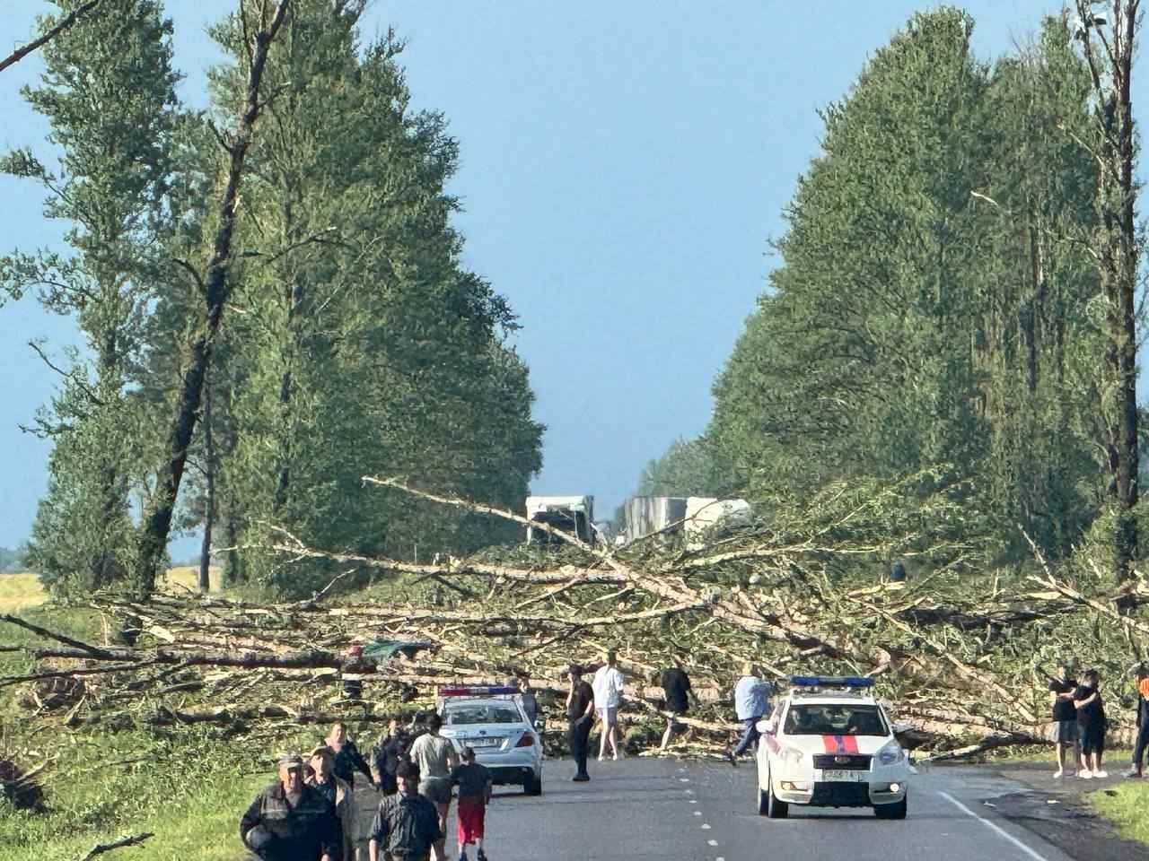 На Витебщине прошел мощный смерч