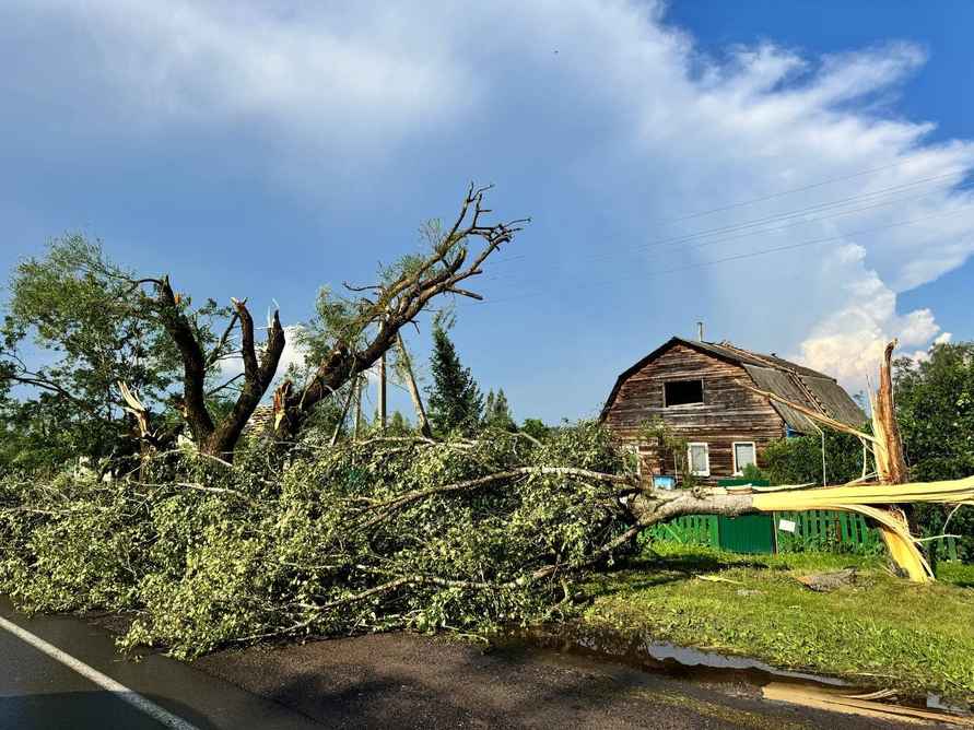 На Витебщине прошел мощный смерч