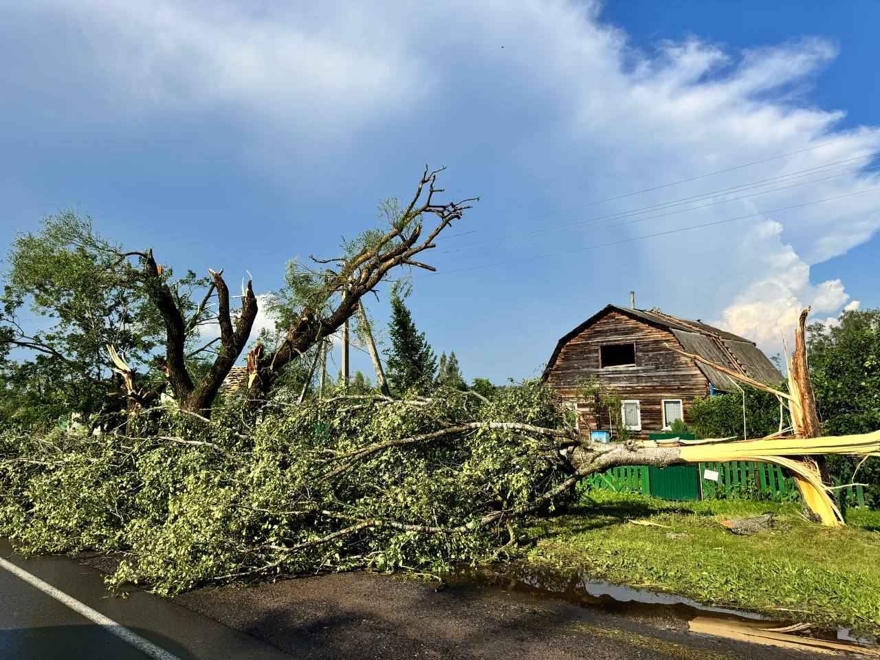 На Витебщине прошел мощный смерч